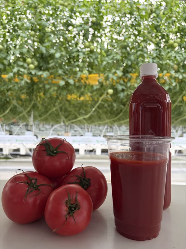 第44回一宮町農林商工祭 ｜ 行事・イベント予定 ｜ 一宮町役場